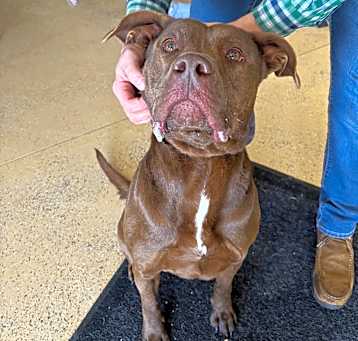 Photo of Hershey