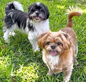 Photo of Mikey James & Leo Thomas