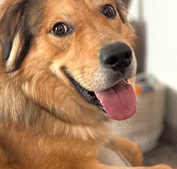 Photo of Reggie