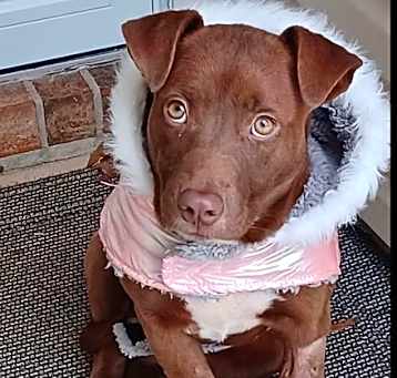 Photo of Misty