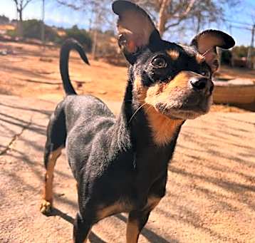Photo of Diamond