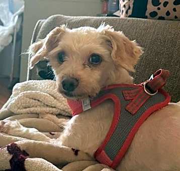 Photo of Lexi