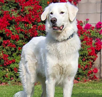 Photo of Belle