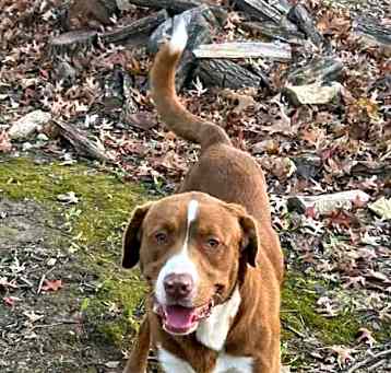 Photo of Clyde