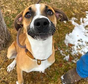 Photo of Muddy