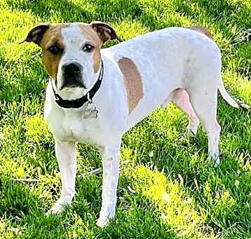 Photo of Scottie