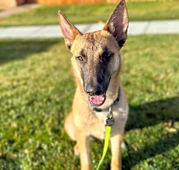 Photo of Daisy