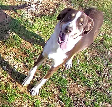 Photo of Marcy