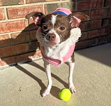 Photo of Annie