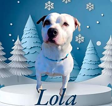 Photo of Lola