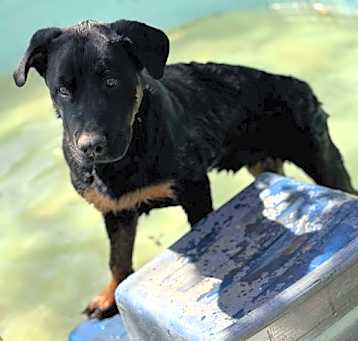 Photo of Kamo
