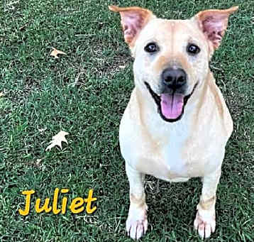 Photo of Juliet