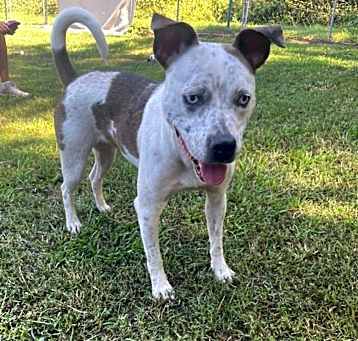 Photo of Trudy
