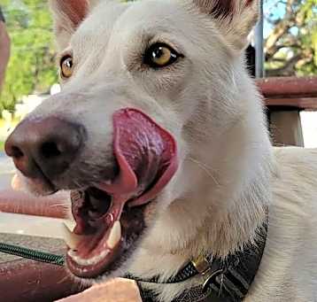 Photo of Farrah (“vida”)