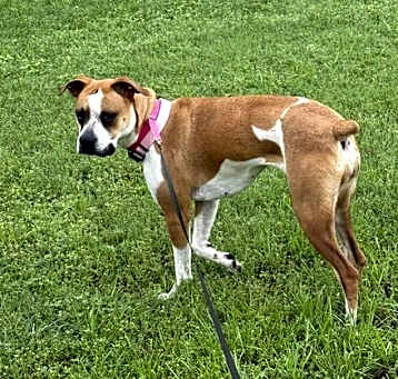 Photo of Prada