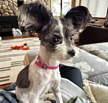 Photo of Coco Chanel