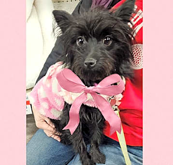 Photo of Winnie