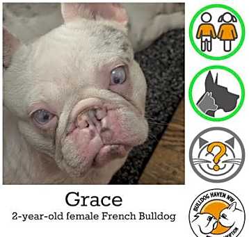 Photo of Grace