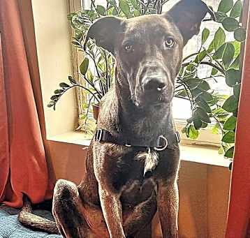 Photo of Bram