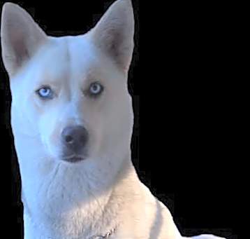 Photo of Holly