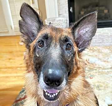 Photo of Birdie 6854