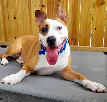 Photo of Zeus