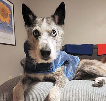 Photo of Kylo