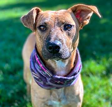 Photo of Annabelle