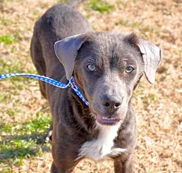 Photo of Storm