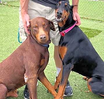 Photo of Zeus 3346