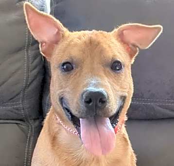 Photo of Lulu