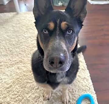 Photo of Sally