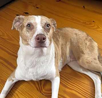 Photo of Delta