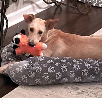 Photo of Rayne