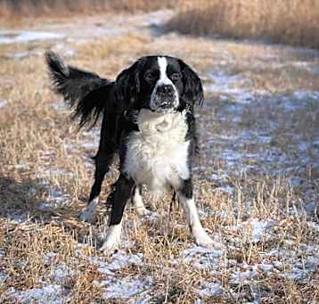 Photo of Rocky