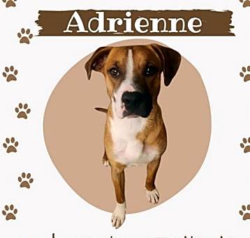 Photo of Adrienne