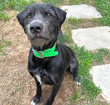 Photo of Murphy