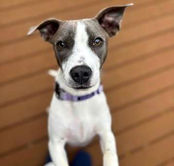 Photo of Merry