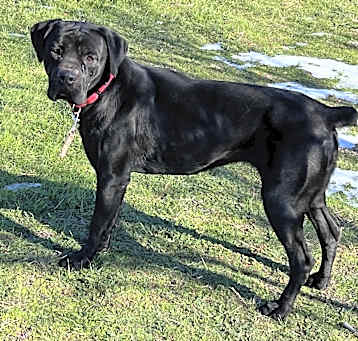 Photo of Matilda