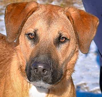 Photo of Waylon