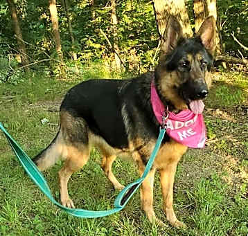 Photo of Star