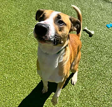 Photo of Zeus