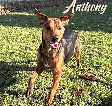Photo of Anthony