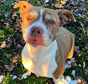 Photo of Penelope