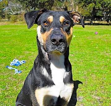 Photo of Ransom