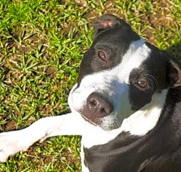 Photo of Gabby