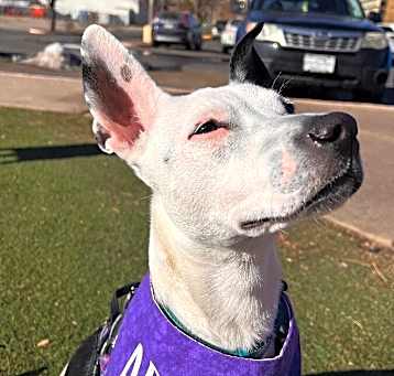Photo of NOVA