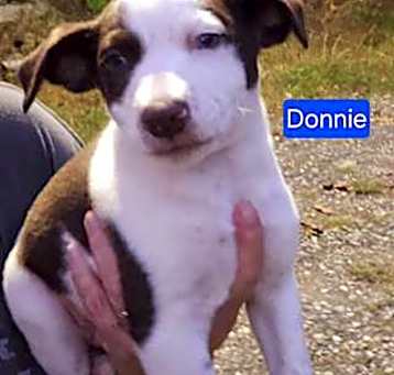 Photo of Donnie