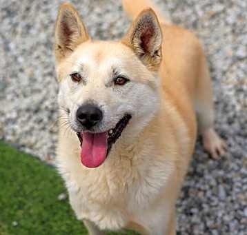 Photo of Max