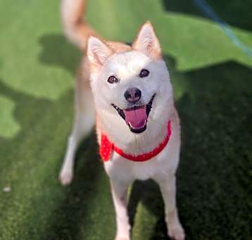 Photo of Heeah